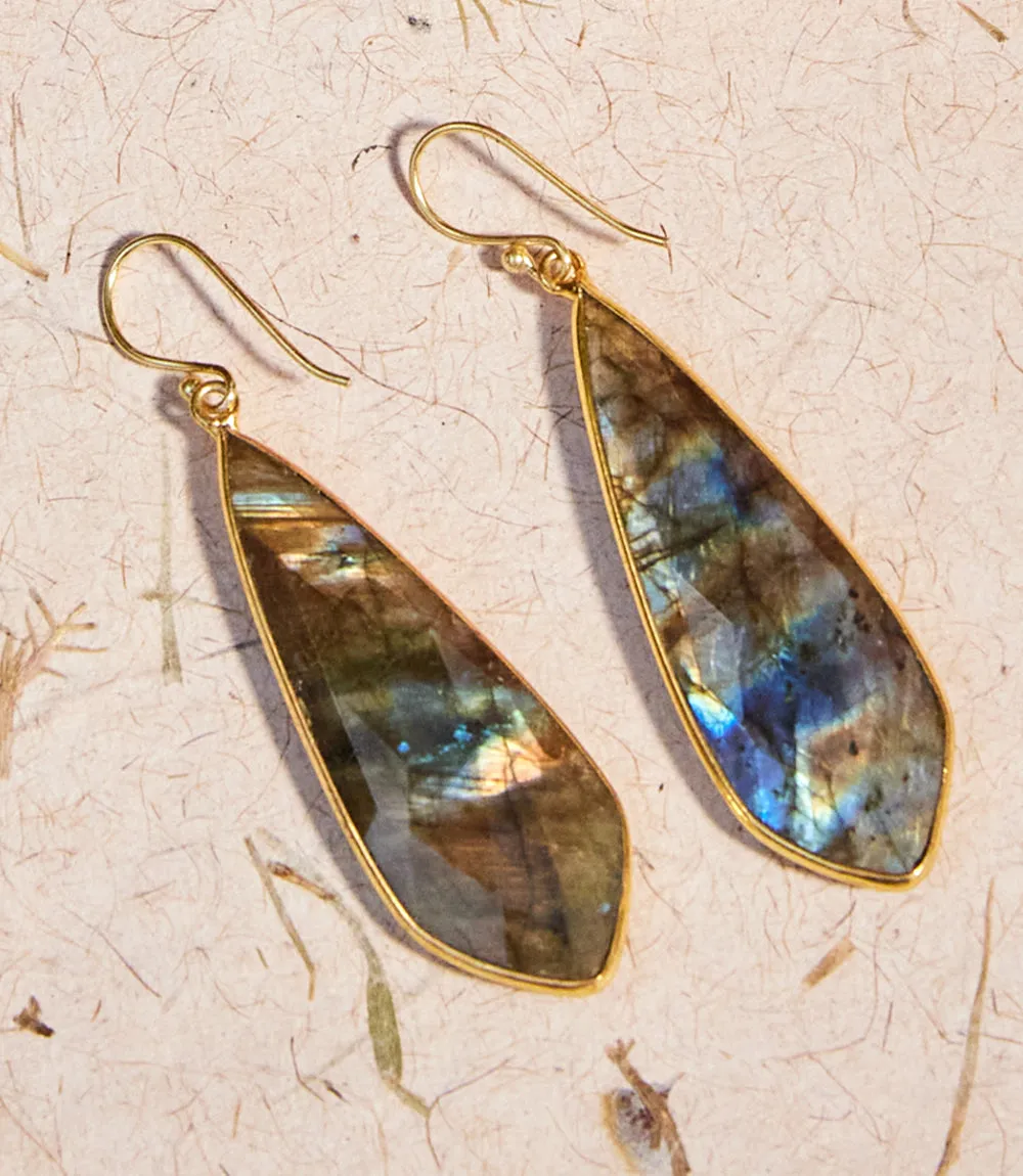 Large Natural Gemstone Earrings